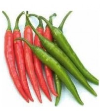 Chilli / Hot Pepper NS 1840 (Namdhari)